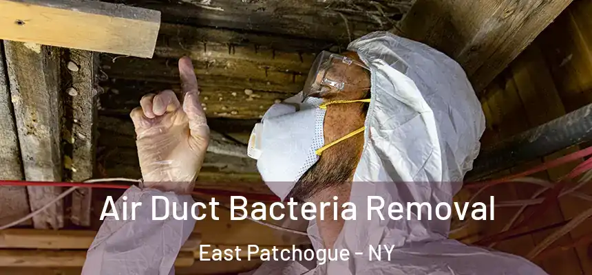 Air Duct Bacteria Removal East Patchogue - NY