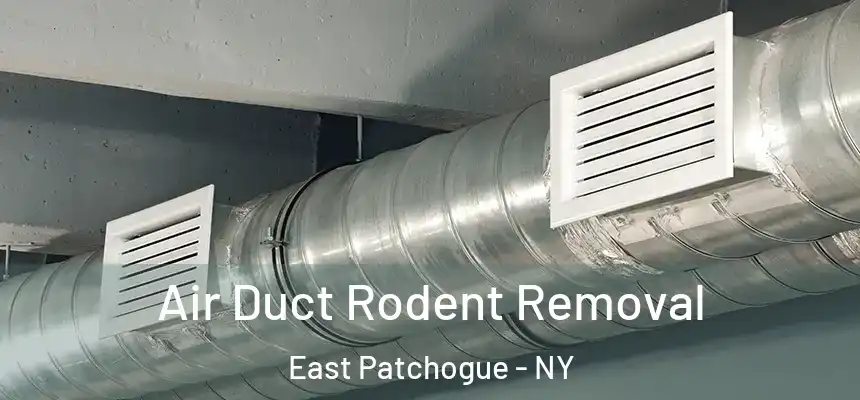  Air Duct Rodent Removal East Patchogue - NY