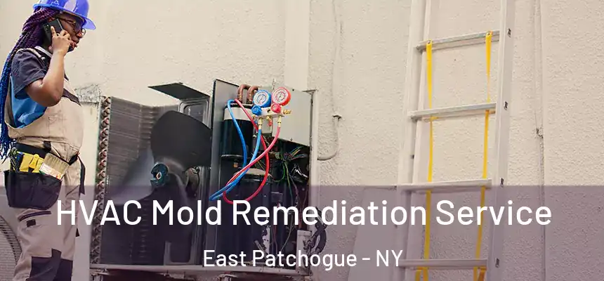  HVAC Mold Remediation Service East Patchogue - NY