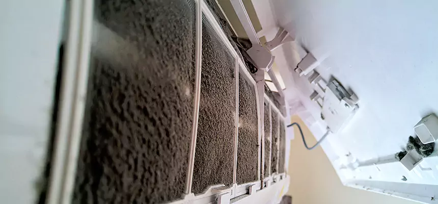 Preventive Air Duct Bacteria Removal in East Patchogue