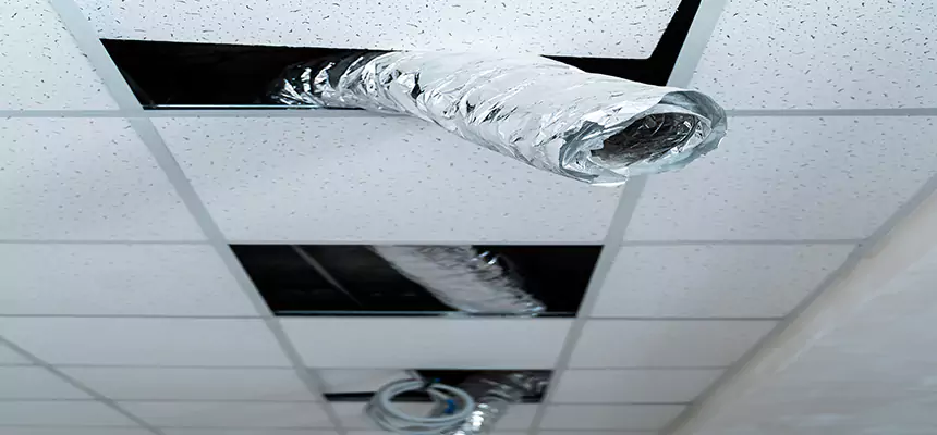 Affordable HVAC Sanitizing After Pest Removal in East Patchogue