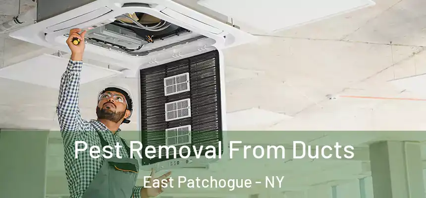  Pest Removal From Ducts East Patchogue - NY