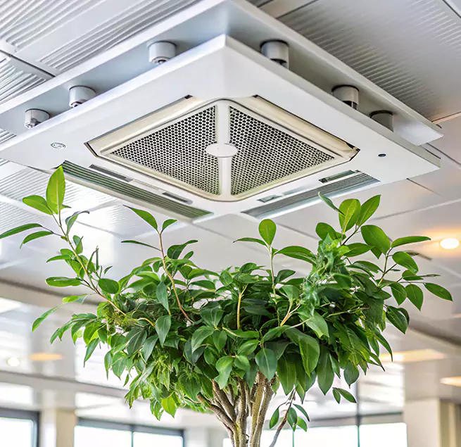 Why Homeowners & Businesses Trust Us in East Patchogue, NY?