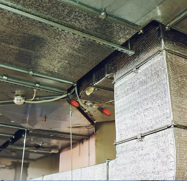 Why Homeowners & Businesses Trust Us East Patchogue, NY?