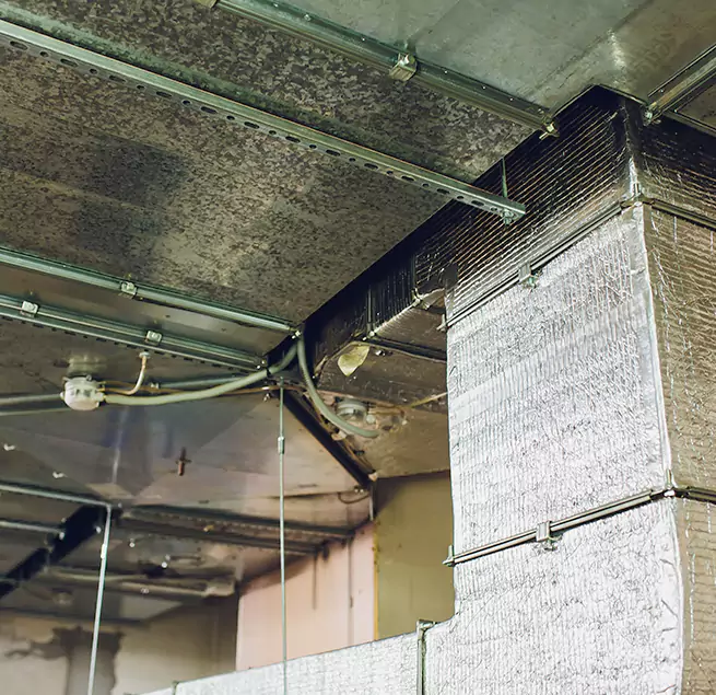 Why Homeowners & Businesses Trust Us in East Patchogue, NY?